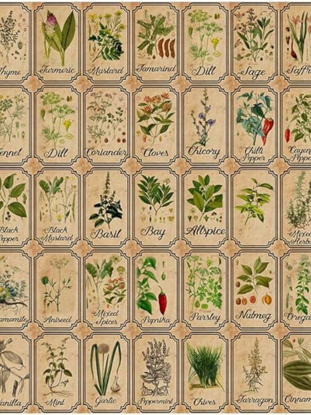 Herb & Spice Illustrated Apothecary Adhesive Labels - Set of 44